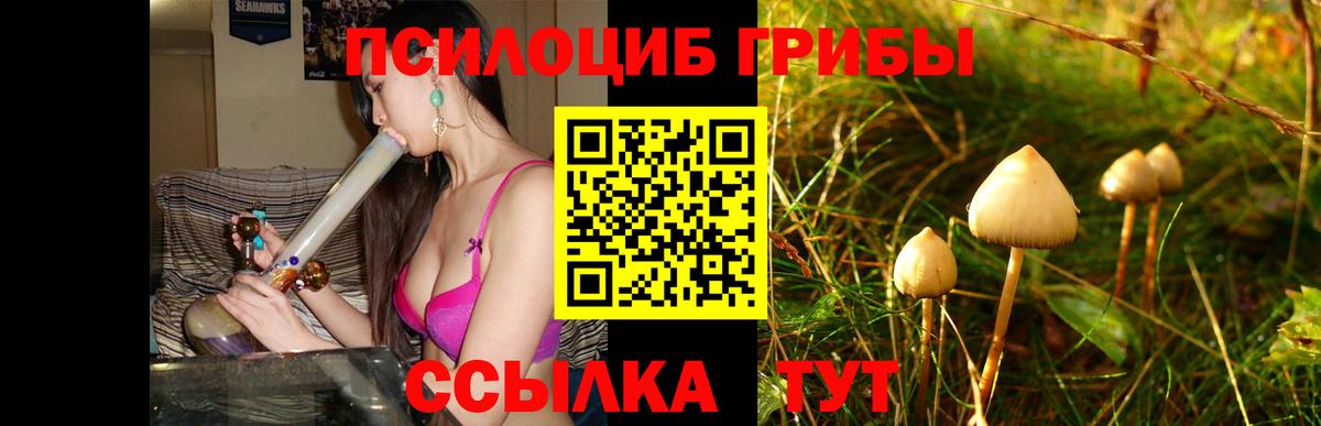 Псилоцибиновые грибы прущие грибы  сколько стоит  Орёл  Вход с VPN 